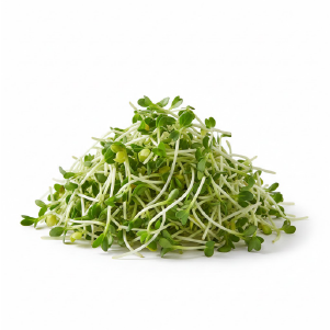 Fresh sprouts