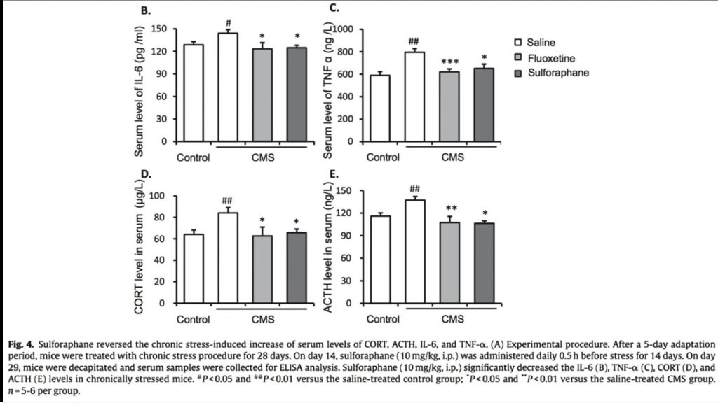 Sulforaphane reversed the chronic stress induced increase of serum levels of CORT ACTH IL 6 and TNF a